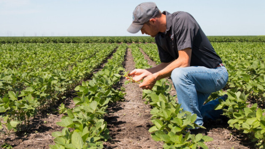 Sredstva za zaštitu u pola cijene - preko granice
