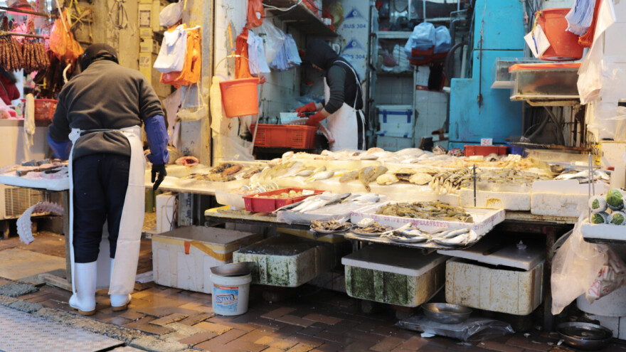 Meso zmija sa lokalne pijace, izvor smrtonosnog korona virusa?