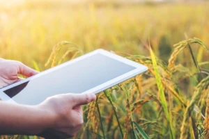 Prodaja poljoprivrednih proizvoda putem interneta je budućnost?