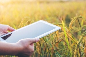 Prodaja poljoprivrednih proizvoda putem interneta je budućnost?