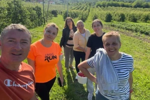 Plan Borisa Tadića je da svako bere za sebe - kako ovaj voćar organizuje proizvodnju?