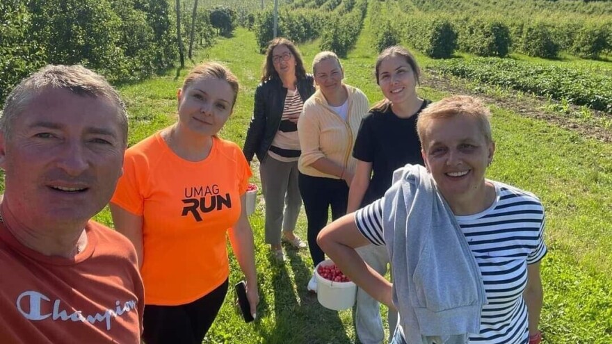 Plan Borisa Tadića je da svako bere za sebe - kako ovaj voćar organizuje proizvodnju?