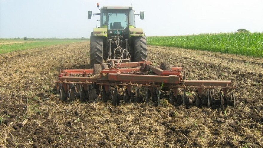 Invazivni korovi osvajaju plodne oranice