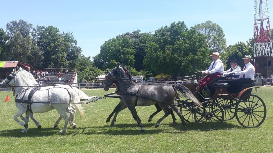 "Crepajački fijaker" zakazan za 6. maj