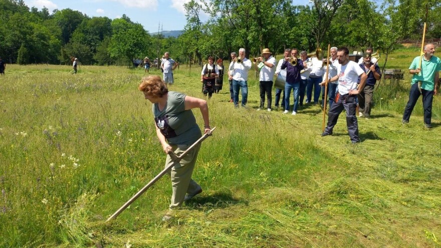 Žena rame uz rame sa najboljim koscima na Zlatiboru