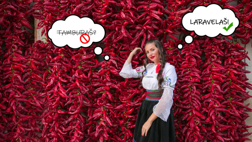 Neće snaša tamburaša nego laravelaša - Agroklub zapošljava programera i administratora