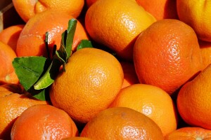 Zabranjen uvoz 21 tone mandarina