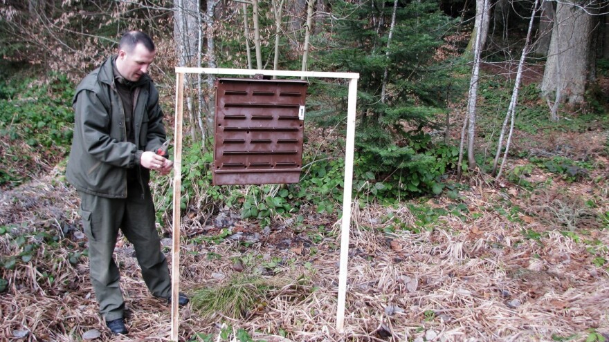 Borba protiv potkornjaka u Nacionalnom parku Tara