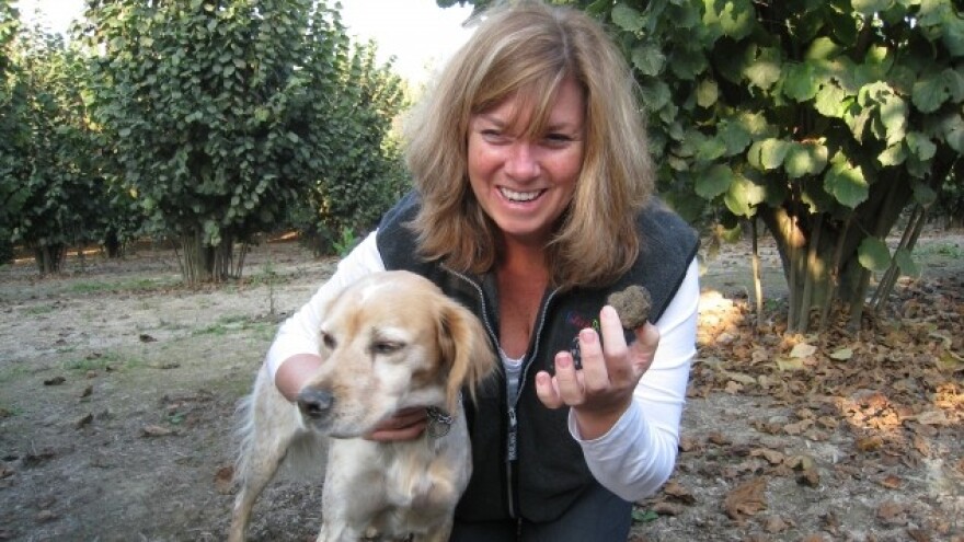 Produžuje li se sezona tartufa za 15 dana?