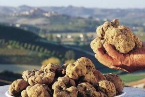 Tartufima osvaja Brazil i Indiju