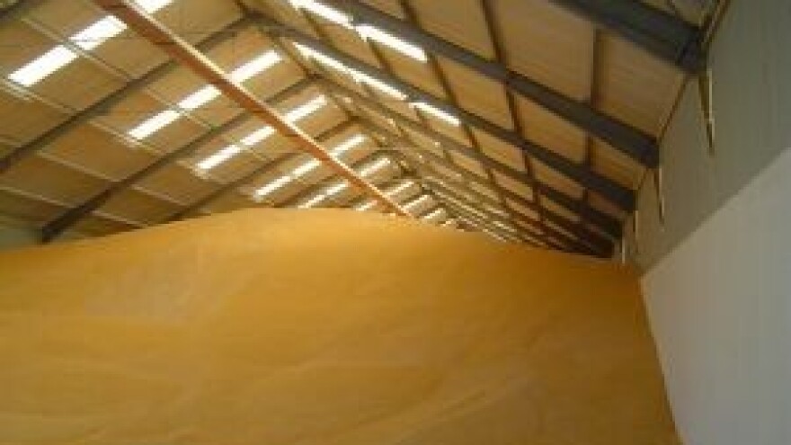 Dezinfekciija tavana i ambara prije žetve