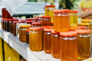 Međunarodni sajam organiziranog pčelarenja u Jagodini