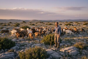 Tek trebamo vidjeti može li se u EU živjeti od koza