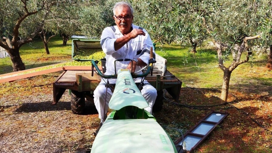 Kapetani duge plovidbe bacili sidro u maslinike Vilima Gržana