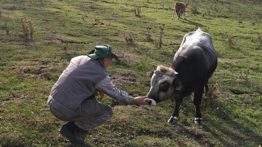 Konkurs za podsticaje u očuvanju životinjskih genetičkih resursa