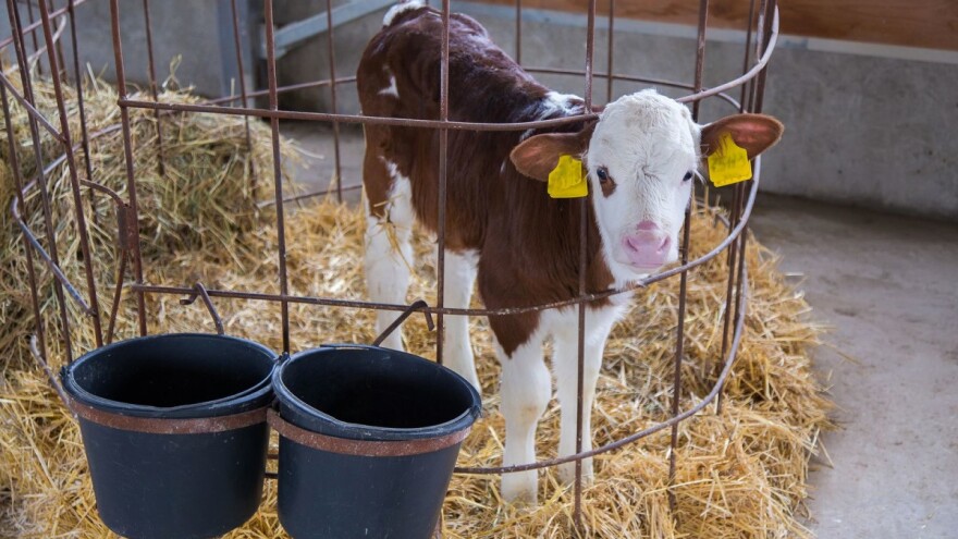 Osigurajte svoje životinje po novom EU modelu s gubitkom proizvodnje od 20%!