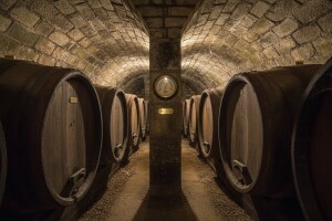 Temperatura u vinskom podrumu