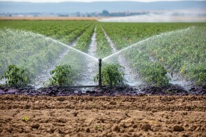 Temperature opet iznad višegodišnjeg prosjeka!