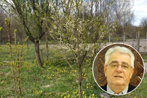 Tijekom dana suho i sunčano, ali opasnost od pojave mraza još uvijek postoji