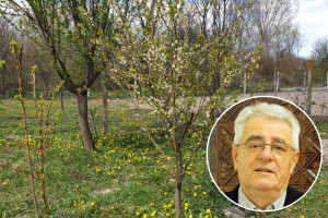 Tijekom dana suho i sunčano, ali opasnost od pojave mraza još uvijek postoji
