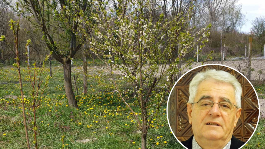 Tijekom dana suho i sunčano, ali opasnost od pojave mraza još uvijek postoji