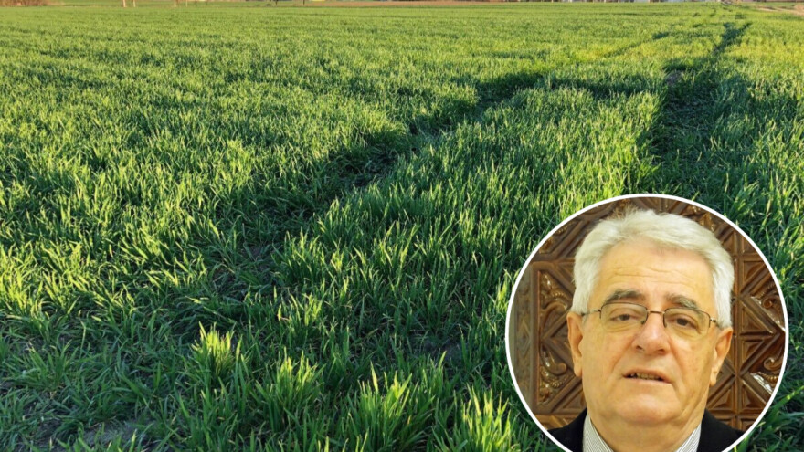 Pripremite se na pojavu mraza, u gorju moguć i snijeg