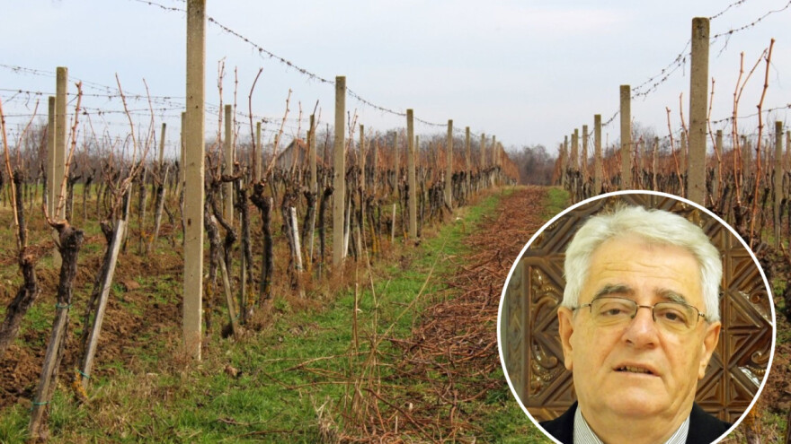 Stiže nam proljeće u veljači?