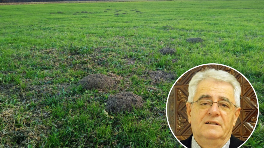 Vrijeme u skladu s poslovicom 'Sveta Luce, ukaži mi Sunce'