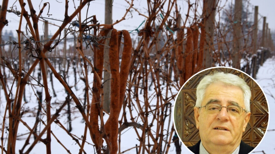 Malo snijega za blagdan sv. Vinka, blagoslov i početak radova u vinogradu