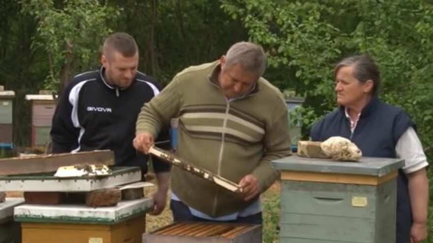 Svekrva "kriva" za ljubav prema pčelarstvu