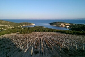 Pravna zaštita za hrvatski teran?