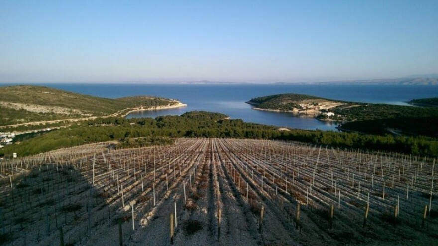 Pravna zaštita za hrvatski teran?