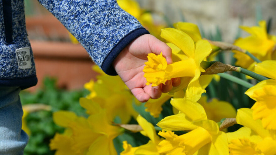Terapijski vrtovi kao lijek