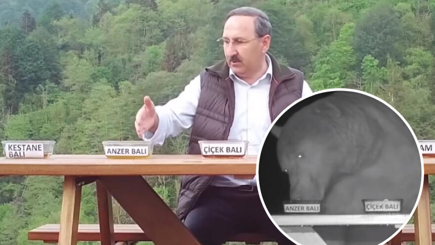 "Zaposlio" medvede da degustiraju med i shvatio da imaju istančan ukus