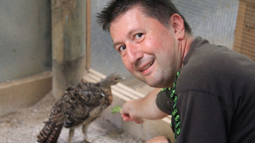 Veliki entuzijast don Ivica Križ intenzivno radi na zaštiti tetrijeba gluhana - ptice iz ledenog doba