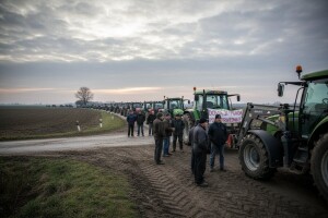 Težak dan za Čobankovića