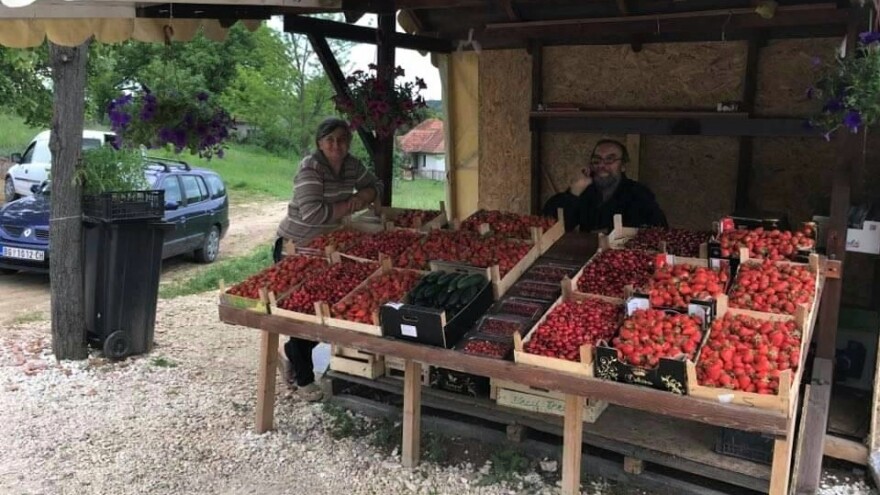 Rešenje za plasman jagode - tezge na ulicama?