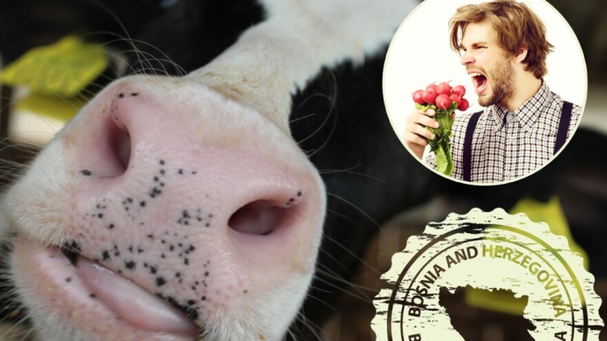 Sve što niste znali o bh poljoprivredi - samo u jednoj stvari smo prvi u svijetu !?