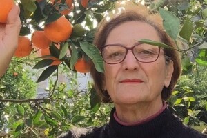 Na eko OPG-u Tihe Blažević uz mandarine, uspijeva i kivi, avokado pa i banane