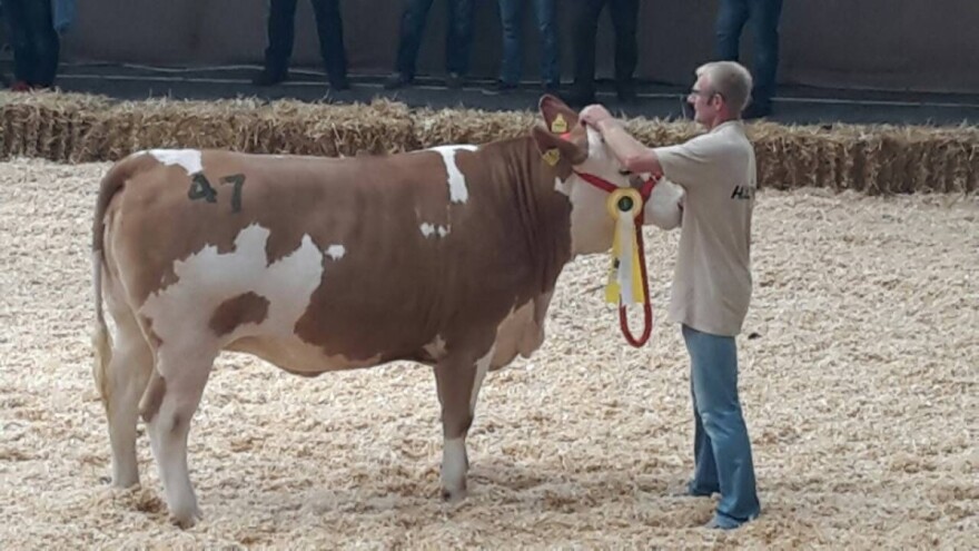 Tihomir Horvat: Da bi uspjeli, u stočarstvu morate dati 200 posto!