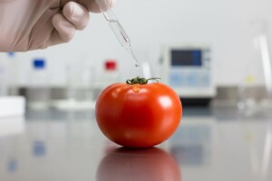 Tihomir Jakovina otvara 7. Konferenciju o sigurnosti i kakvoći hrane u RH