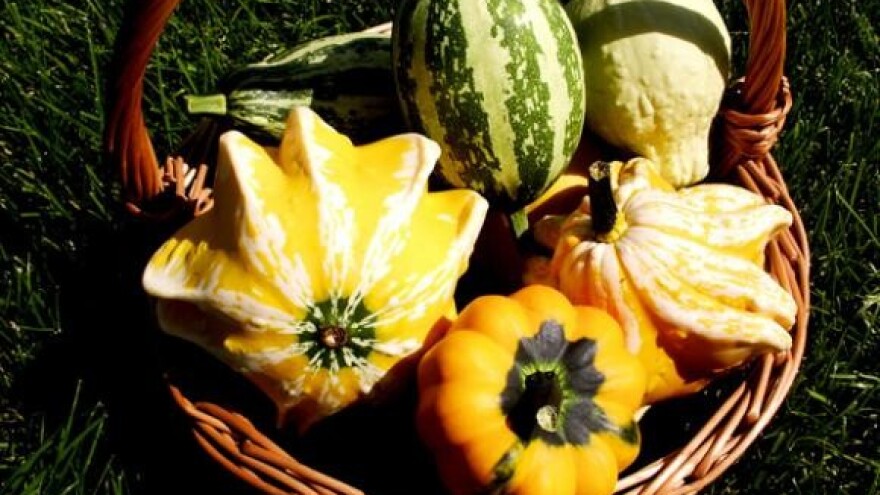 Ekološka hrana sadrži više hranjivih sastojaka