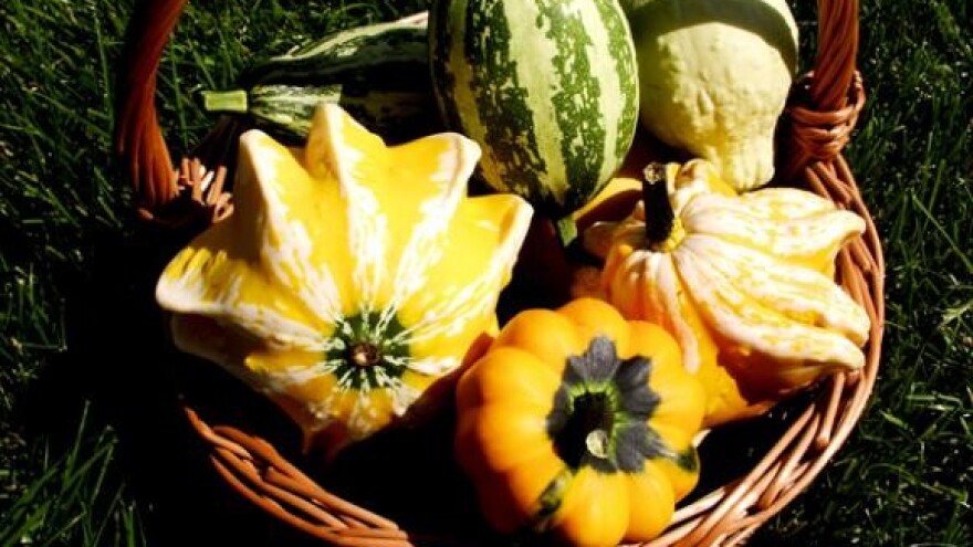 Zadruga iz Velikih Zdenaca izvozi 99 posto proizvodnje