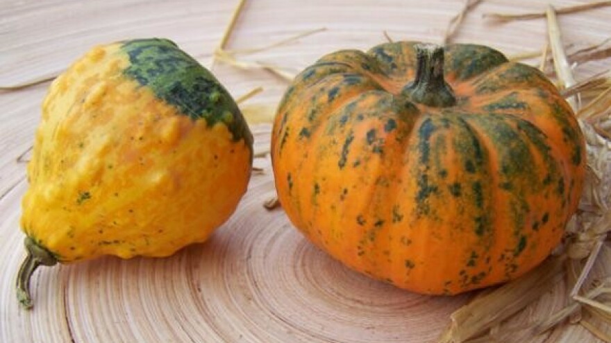 Prezentacija programa "Bakina špajza"