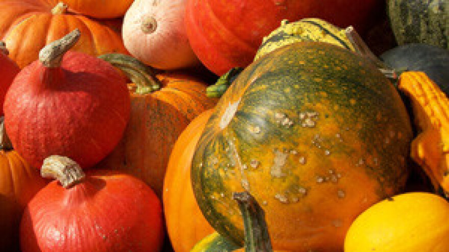 Održani Dani Rudolfa Steinera u Donjem Kraljevcu