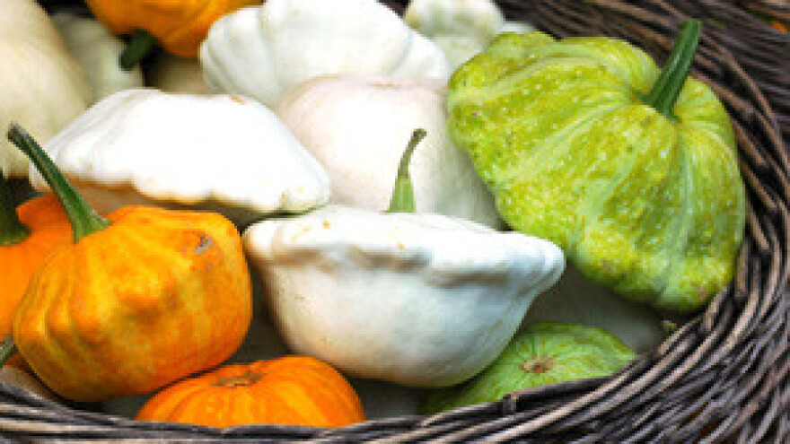 Od kiša profitirali povrtlari "gubitnici" voćari i vinogradari