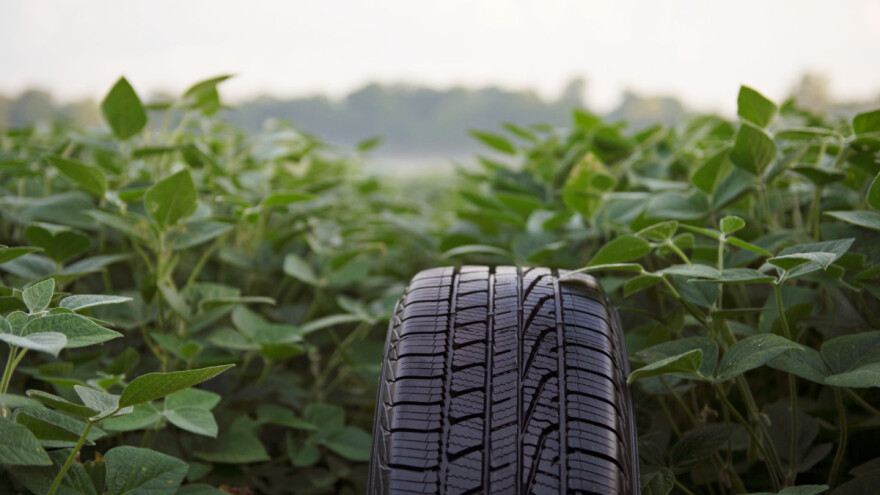 Na tržište stiže guma od soje, pirinča i borove smole