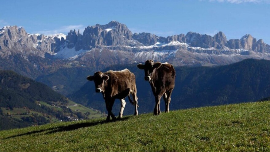 Stručno putovanje - Snaga južnog Tirola!