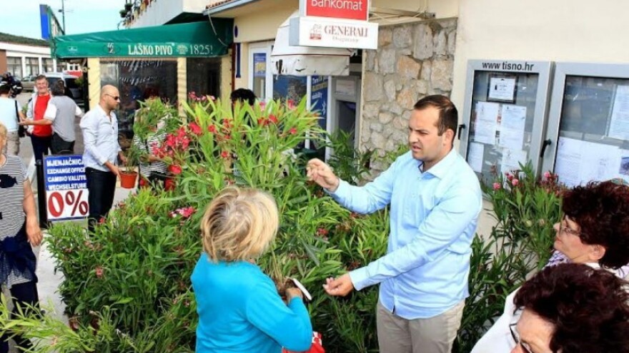 U Tisnom podijeljeno 1.000 oleandera!