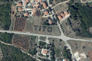 Zasadio ružičnjak tako da tvori ime - Tito